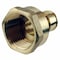 Apollo 3/4 in. Brass PEX-A Expansion Barb x 1 in. FNPT Female Adapter EPXFA341 - alternate 1